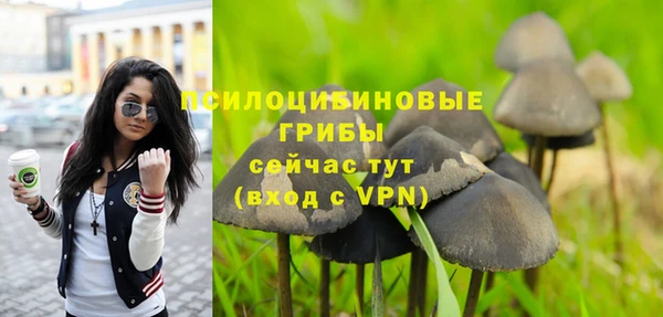 винт Абинск