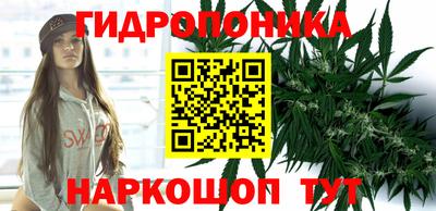 шишки Новозыбков