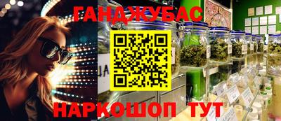 стафф Новодвинск