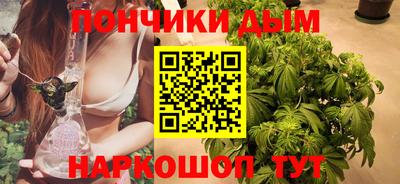 шишки Новозыбков