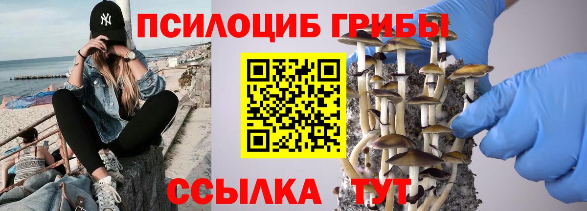Серпухов  Псилоцибиновые грибы MAGIC MUSHROOMS  Вход с VPN 